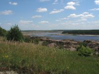 Niederlausitz03_Steigender_Wasserspiegel_im_Biotop_Grünhaus__Bildautor_Heide_Kaiser