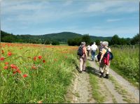 Eifel01_Auf_dem_Weg_nach_Maria_Laach