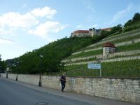 3l_Freyburg_Weinberg_KB