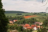 6c_Mohnfelder_bei_Steinbach_MB