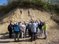 5_Begleitprogramm_Exkursion_Spessart_a_Altenmittlau_KB