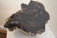 1_Rätsel04_Kieselholz_GS