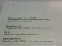 1_Vitrine01_oben_a_Beschriftung_MB