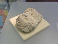 1_Vitrine01_oben_b_Konglomerat_KB