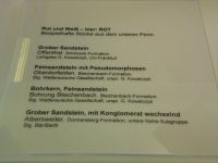 1_Vitrine01_unten_a_Beschriftung_MB