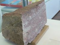 1_Vitrine01_unten_b_Sandstein_MB