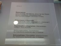 1_Vitrine02_oben_a_Beschriftung_MB