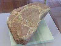 1_Vitrine02_oben_f_Schrumpfrisse_MB