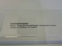 1_Vitrine02_unten_a_Beschriftung_MB
