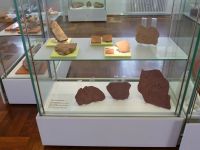 1_Vitrine04__Spuren_Leben_MB