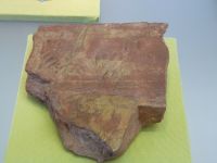 1_Vitrine04_oben_c_Schwimmfährten_MB