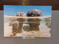 1_Vitrine05_oben_c_rezenterStromatolith_MB