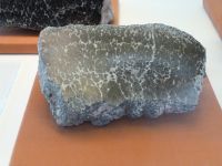 1_Vitrine05_unten_c_Querschnitt_MB