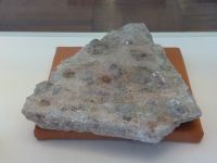 1_Vitrine05_unten_e_Aufsicht_MB