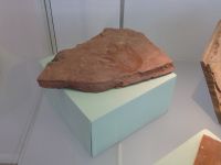 2_Vitrine06_oben_c_Amphibienfährte_KB