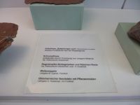 2_Vitrine06_unten_a_Beschriftung_KB