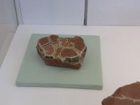 2_Vitrine06_unten_b_Schrumpfrisse_KB