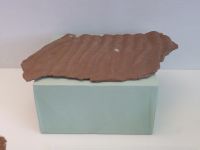 2_Vitrine06_unten_d_Wellenrippeln_KB