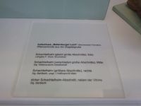 2_Vitrine07_unten_a_Beschriftung_KB