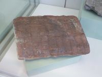 2_Vitrine07_unten_b_fossilerSchachtelhalm_KB