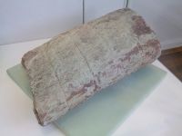 2_Vitrine07_unten_d_fossilerSchachtelhalm_KB