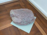 2_Vitrine07_x_fossilerSchachtelhalm_KB