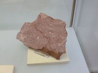 2_Vitrine08_oben_e_Langen_KB