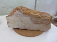 2_Vitrine08_unten_d_BadVilbel_KB