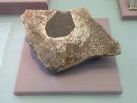 2_Vitrine09_oben_c_GneisXenolith_KB