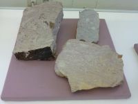 2_Vitrine09_unten_c_Ignimbrit_KB