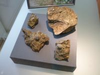2_Vitrine10_oben_b_Melaphyrmandelstein_KB