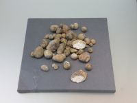 2_Vitrine10_oben_d_Mandeln_KB