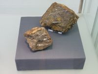 2_Vitrine10_oben_e_Melaphyrmandelstein_KB