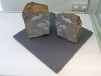 2_Vitrine10_unten_c_Melaphyrmandelstein_KB
