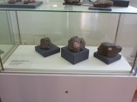 2_Vitrine11_unten__KB