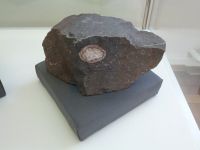 2_Vitrine11_unten_d_Melaphyrmandelstein_KB