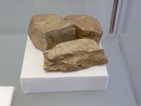 2_Vitrine12_oben_e_Zechstein_KB