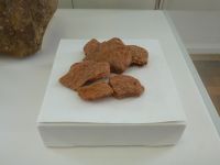 2_Vitrine12_unten_c_Sandstein_KB