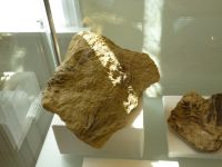 2_Vitrine13_oben_b_Volzie_KB