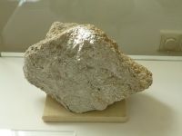 2_Vitrine13_unten_b_Konglomerat_KB