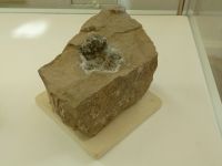 2_Vitrine13_unten_d_Kalk_KB