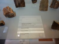 2_Vitrine14_oben_a_Beschriftung_KB