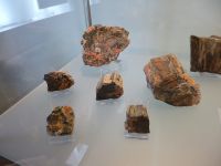 2_Vitrine14_oben_b_Kilianstätten_KB