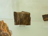 2_Vitrine14_oben_c_Engeltal_KB