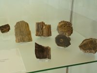 2_Vitrine14_oben_d_Naumburg_KB