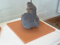 2_Vitrine14_unten_d_Naumburg_KB