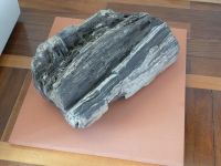 2_Vitrine14_y_Exponat_rechts_Kieselholz_Engeltal_KB