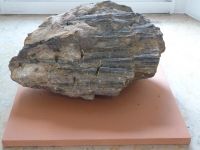 2_Vitrine14_z_c_Kieselholz_BadVilbel_KB