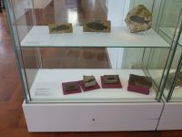 3_Vitrine15__RotliegendFische_KB