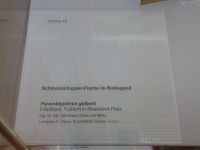 3_Vitrine15_oben_a_Beschriftung_KB